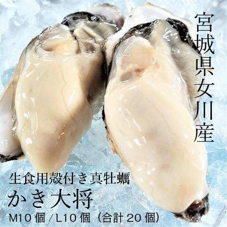 生牡蠣 Stores 生牡蠣 Stores