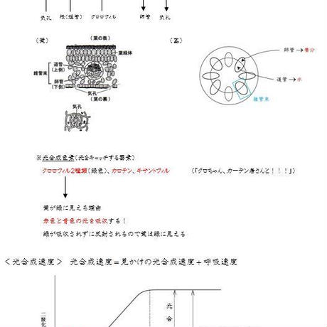 5d8489f15b61b47d348f3c68