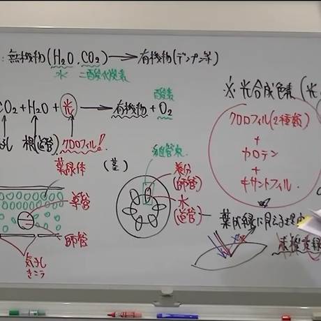 5d8489f15b61b47d348f3c68