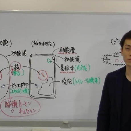 5cd14a434da8521c31756f14