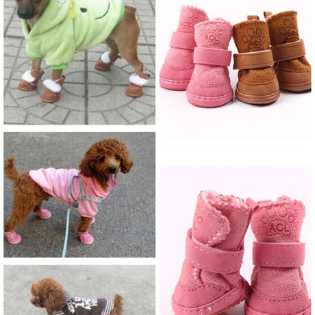 犬用洋服 Stores