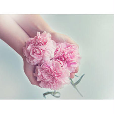 5928372aed05e6365700d024