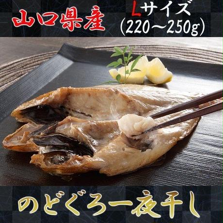 5cf78e46a894526c6d99a2bd
