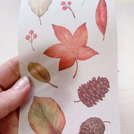 韓国シール Stores