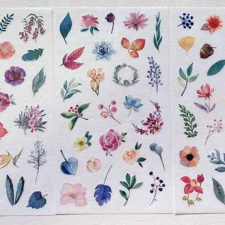 韓国シール Stores