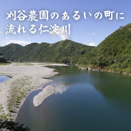 56d28282ef3377eb320002e8