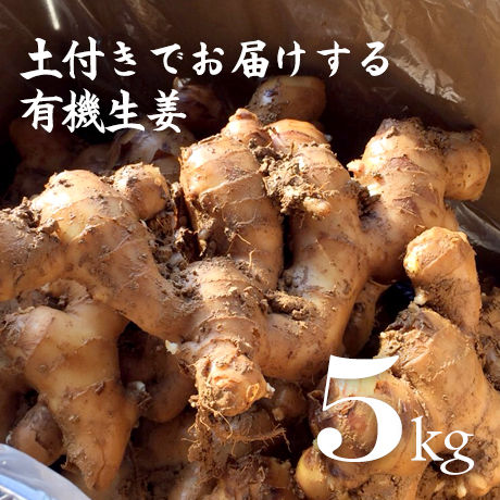 56d28282ef3377eb320002e8