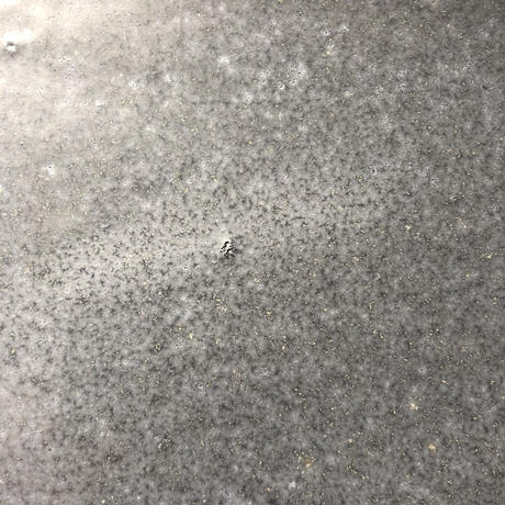 5f222c877df281705c23ab1e