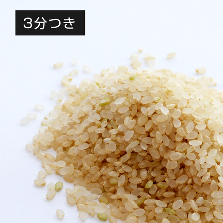 57c4eb0a9821ccd8c6003c6b