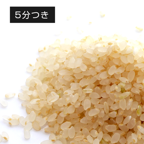 57c4eb0a9821ccd8c6003c6b