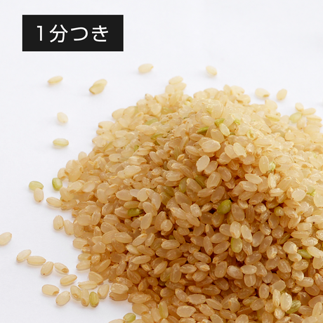 57c4e9b900d33165dc002427