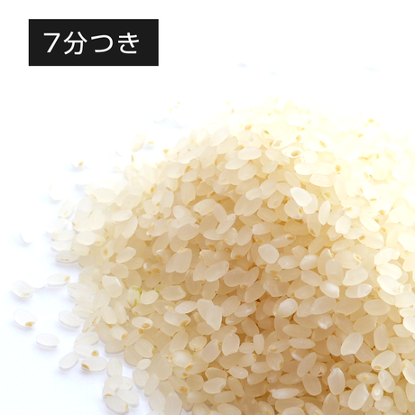 57c4eb0a9821ccd8c6003c6b
