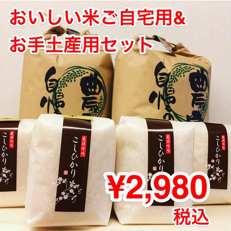 57c4e6dfa458c013fd003491