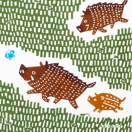 5c0c915f2a28621f99fef7dd