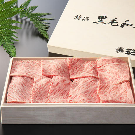 57ca3b04a458c03bc50045d4