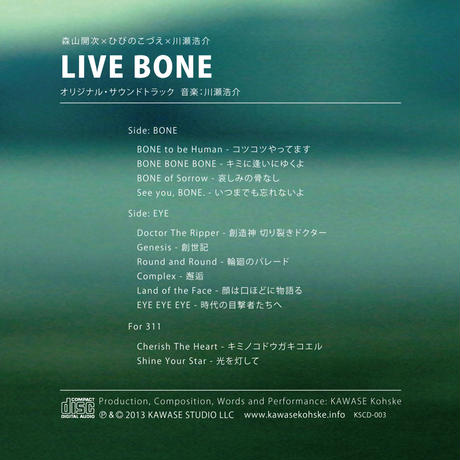 53bd1a353e7a4a057b0002b3