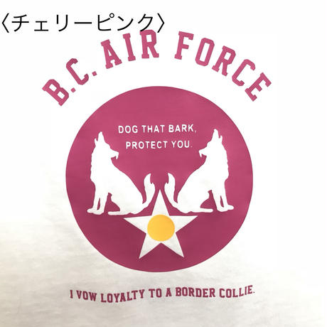 5af8e3b1122a7d1fca000794