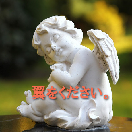 56da79b63bcba9cf4000c3cc