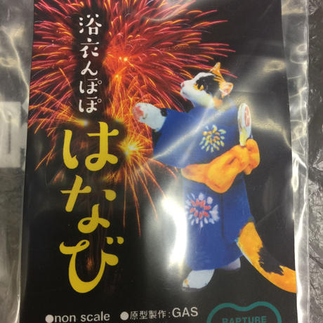 5ca46590c3a9676b6c5c73b4