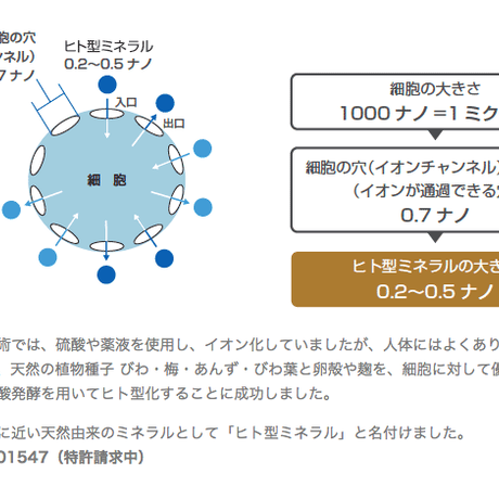 5b29a7c15496ff2b7800093a