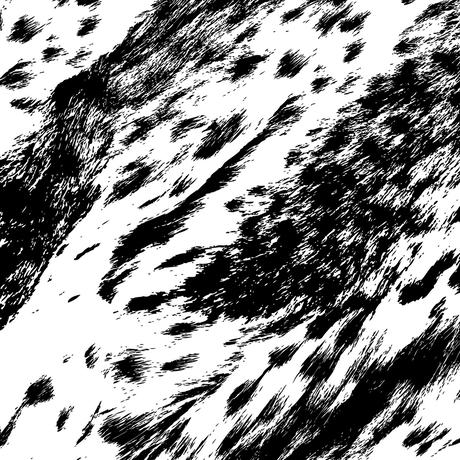 57848838a458c03812001196