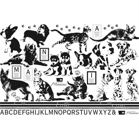 5784874d1003152f480010eb