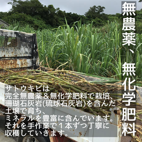 5f7c15c007e1634dc90b5db6