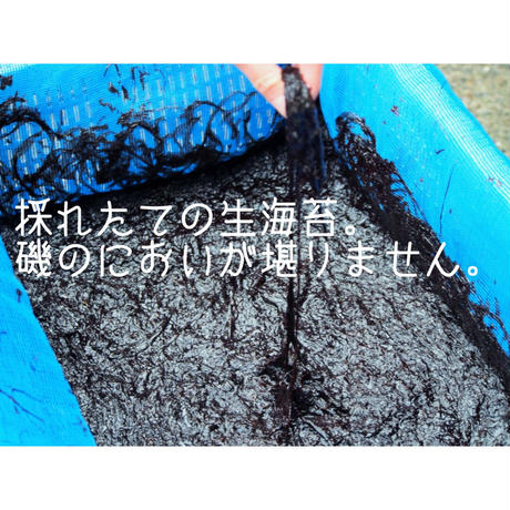 5f72ff3893f619146f1ab6b8