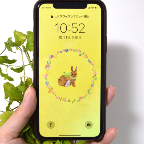 ホーランドロップ Stores