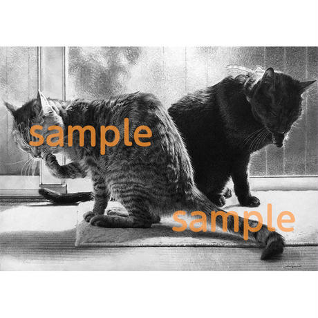 5f7449b43ae0f4452f9073ce
