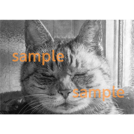 5f7449b43ae0f4452f9073ce