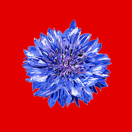 59d5fed13210d57fa1001f28