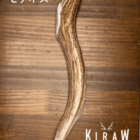 エゾシカの角 Stores