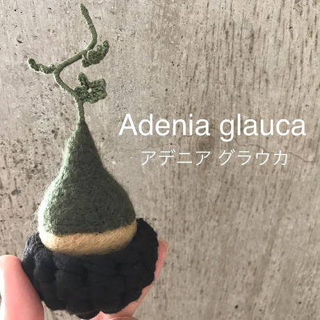 598d74a2ed05e6540800fe4a