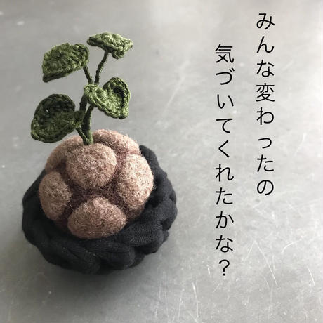 59bf5a8ced05e65ef900165b