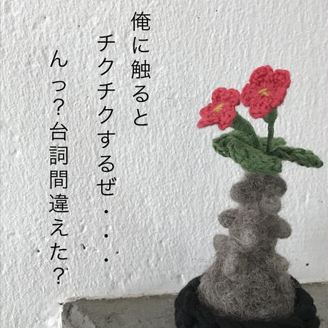 5b0ccefe122a7d2f38000a15