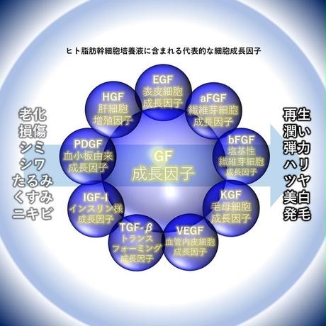 5bf621a52a28623bf40003d5