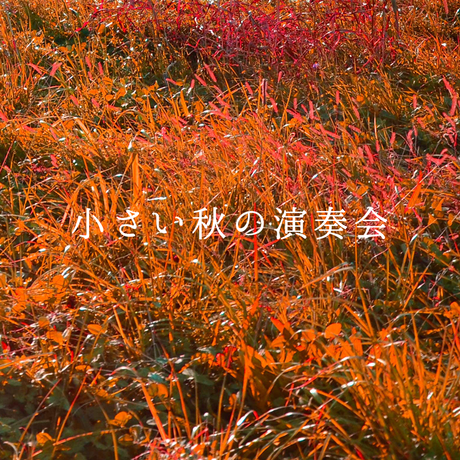 59ba731bed05e6565c0029cd