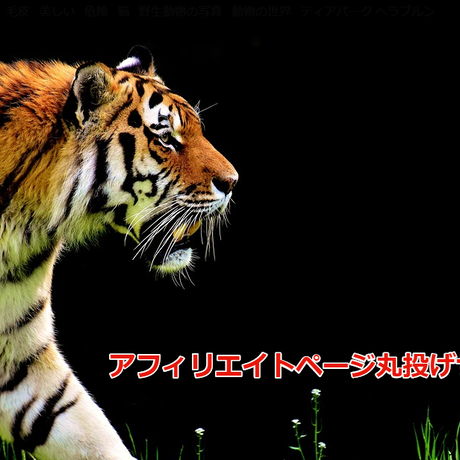 593e0a13b1b6197a0901f298