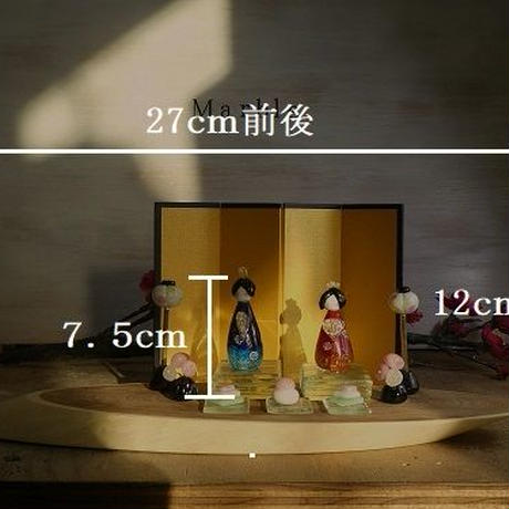 5a586098ed05e64ee50009cf