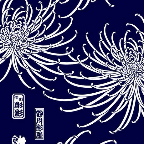 590af06f3210d55d76007955