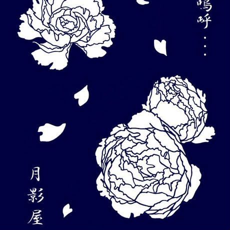 590ae97ac8f22c4591000bb9