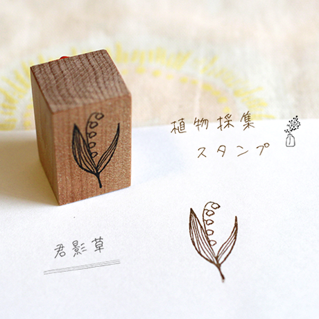 589c1a859821cc507000864d