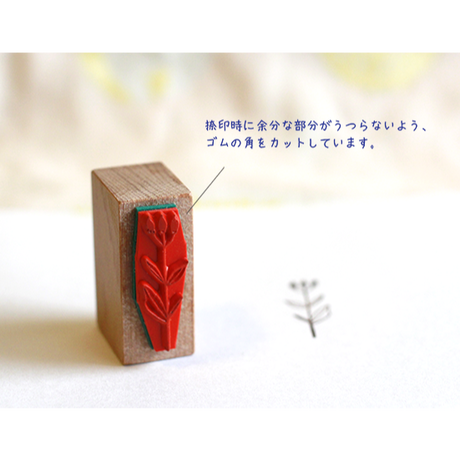 589c1d299821cc62b000893c