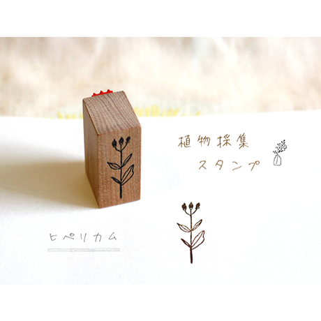 589c1d299821cc62b000893c