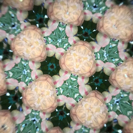 5bc5b4d45496ff7b38000311