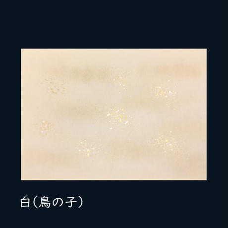 5f6af2f88f2ebd3456e8de90