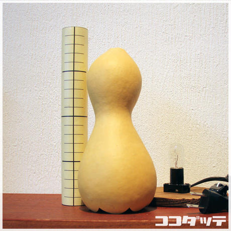 57b31d291003152f330021dd