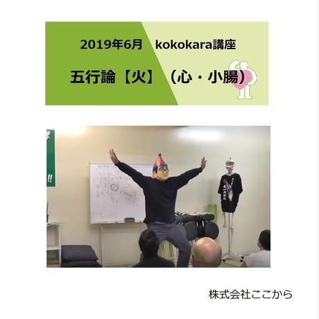 5dc3ff88637944680c89c31f