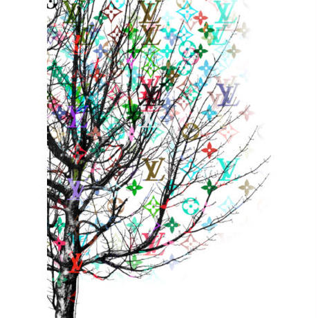 5f1171c1ea3c9d25585090bd
